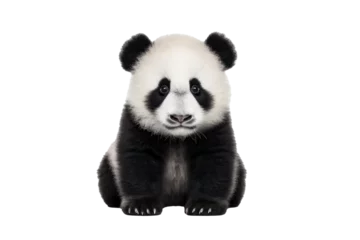 Wandaufkleber A cute panda isolated on a transparent background. © tong2530