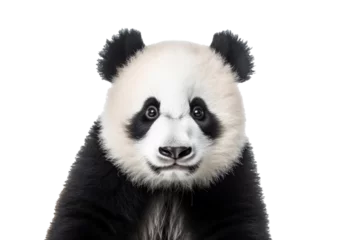 Wandaufkleber A cute panda isolated on a transparent background. © tong2530