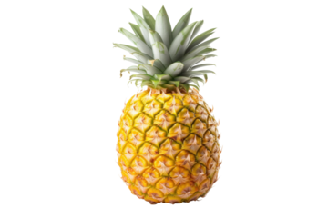 A pineapple fruit isolated on transparent background.