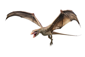 Naklejka premium A Pteranodon Dinosaur isolated on a transparent background.