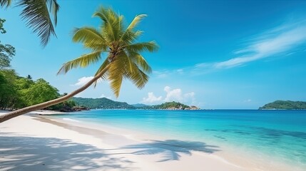 Tropical landscape with beautiful palm trees, White sand beach on island panorama