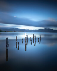 Wooden pier remains. Lake Massaciuccoli. Torre del Lago Puccini, Tuscany