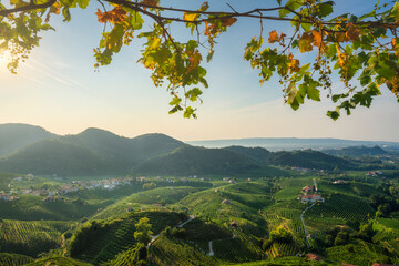 Prosecco Hills, vineyards panorama in the morning. Unesco Site. Valdobbiadene, Italy