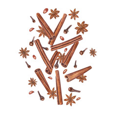 Cinnamons sticks, star anise, dried cloves. Winter aromatic spices for hot drinks and Xmas baking. Botanical watercolor illustration for package design, label, logo