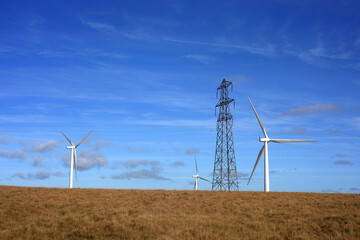 wind turbines and an electricity pylon.