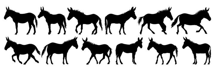 Donkey silhouettes set, large pack of vector silhouette design, isolated white background