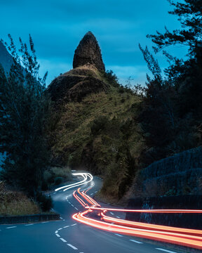 Route de Cilaos, Palmiste rouge de la R&eacute;union