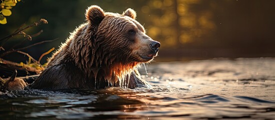 In the serene embrace of nature a majestic brown bear stands tall its beautiful fur glistening in the sunlight embodying the raw power of a wild mammal Its sharp teeth hint at the potential 