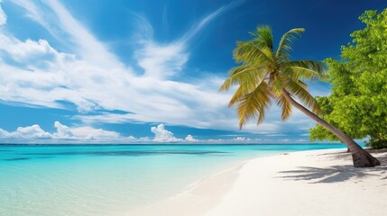 Beautiful palm tree on tropical island beach on background blue sky with white clouds and turquoise ocean on sunny day 