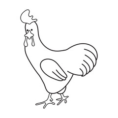 rooster. beautiful chicken line art vector. Vector illustration. Black and White, art