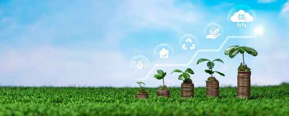 Seedling tree planted on top of growing money or coin stack with sky panorama. Green environment...