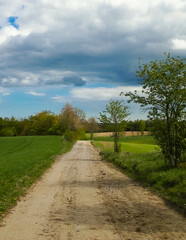 Fototapeta na wymiar Country road over fields and meadows.