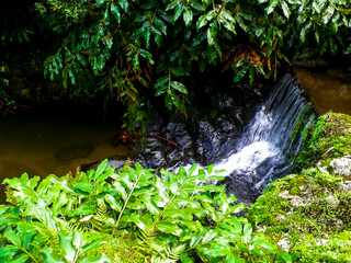 Little waterfall at Botanical Garden of Ribeira do Guilherme, São Miguel Island, Azores