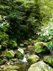 Little waterfall at Botanical Garden of Ribeira do Guilherme, São Miguel Island, Azores