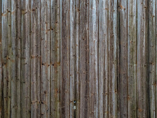 Strommasten am Herbstwald