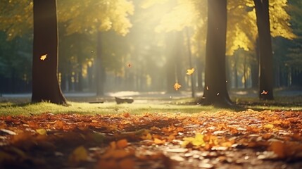 Fall Scene: A Serene Autumn Landscape with Trees and Gorgeous Leaves in the Sunlight Rays - A Beautiful Backdrop for Your Designs!