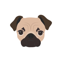 Pug portrait. Pug face sticker isolated on white. Cute pug illustration. Puppy vector illustration. Dog sticker. Cute dogs face icon.