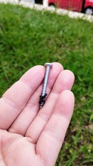 screw in hand