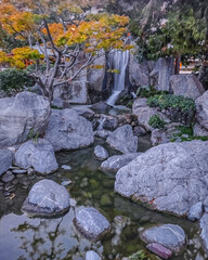Paysage de jardin japonais à Monaco