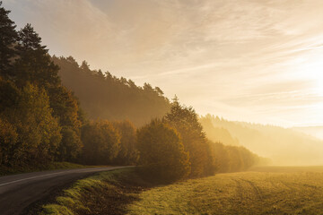 A bend of the road at the morning light of a foggy autumn landscape. - Powered by Adobe