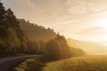  A bend of the road at the morning light of a foggy autumn landscape. © Viliam