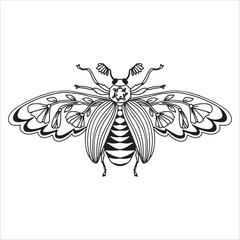 Beautiful butterfly. Decorative stylized insect drawn by hand in black. wings Beetle. Vector illustration on a white background.