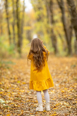 Rear view fashion little girl walking in autumn forest. Cute little girl in a yellow dress walks in a beautiful autumn park, stands on the background of bright colorful foliage.