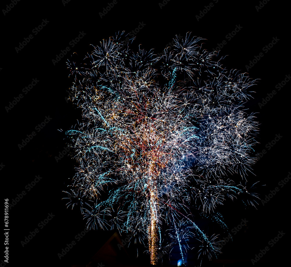 Wall mural fireworks in the night sky