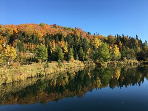 Scenic View of autumn trees reflecting on the lake under blue sky © Wirestock