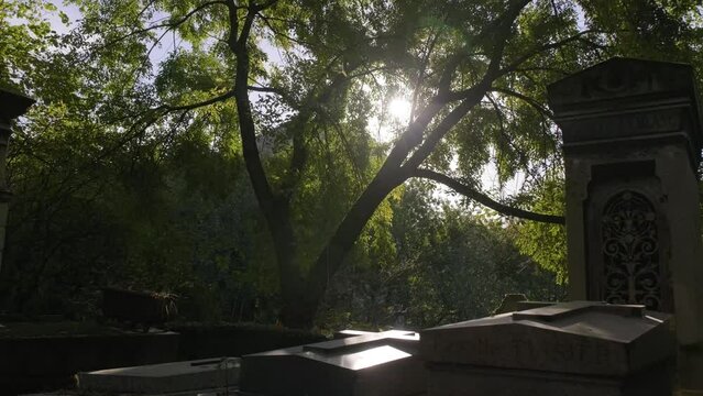 Drone footage of the park of Pere Lachaise cemetery in Paris, France