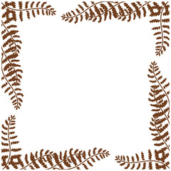 Frame with fern leaves for websites, cards and your other designs. Vector illustration isolated on white background.