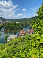 Vertical shot of the houses near the small lake with lush trees in the background