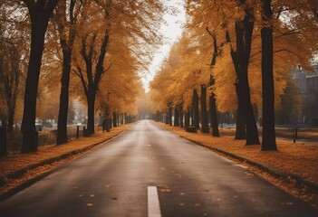 Empty road in city in autumn time