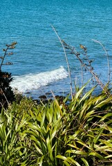 Manu Bay, Raglan 