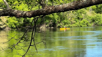 Kayaking on the Waikato River