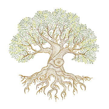 Old big family tree with roots isolated on white. Concept Art for your design. Design interior ideas.