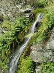 Narrow cascading waterfal falling through rocky cliffs with plants in the forest