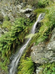 Obraz premium Narrow cascading waterfal falling through rocky cliffs with plants in the forest