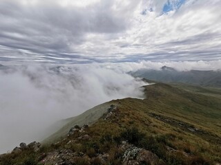 Aerial view of mountain landscape with growing grass