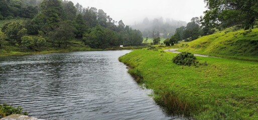 Gorgeous view of a river surrounded by bright green fields and trees under a foggy white sky