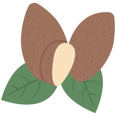 Almond grains element. Vector element with vegetarian theme. Illustration.