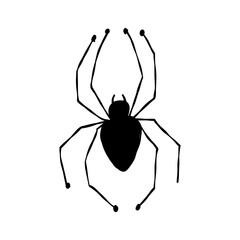 Spider icon, black silhouette isolated on white. Hand drawn style