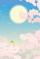Fototapeta na wymiar 満開の桜とメジロとおぼろ月のイラスト
