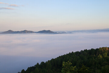 かめおか霧のテラスからの雲海