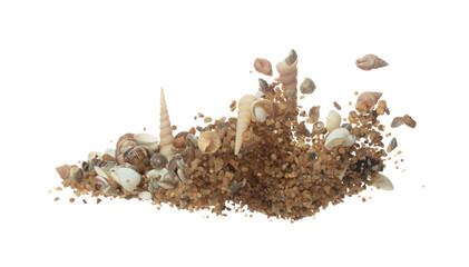 Seashell sand fall splashing in air. sea shell explosion flying, sand abstract cloud fly. Many...