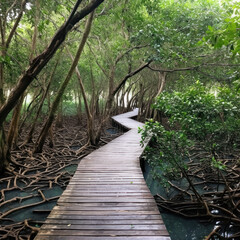  The path through the mangroves in hues of mangrove
