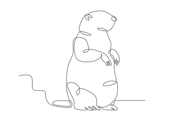 A standing groundhog mammal. Groundhog day one-line drawing