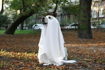 Cute Labrador Retriever dog wearing ghost costume in autumn park on Halloween