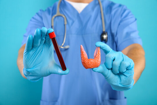 Endocrinologist showing thyroid gland model and blood sample on light blue background, closeup
