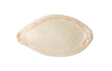 One dried pumpkin seed isolated on white